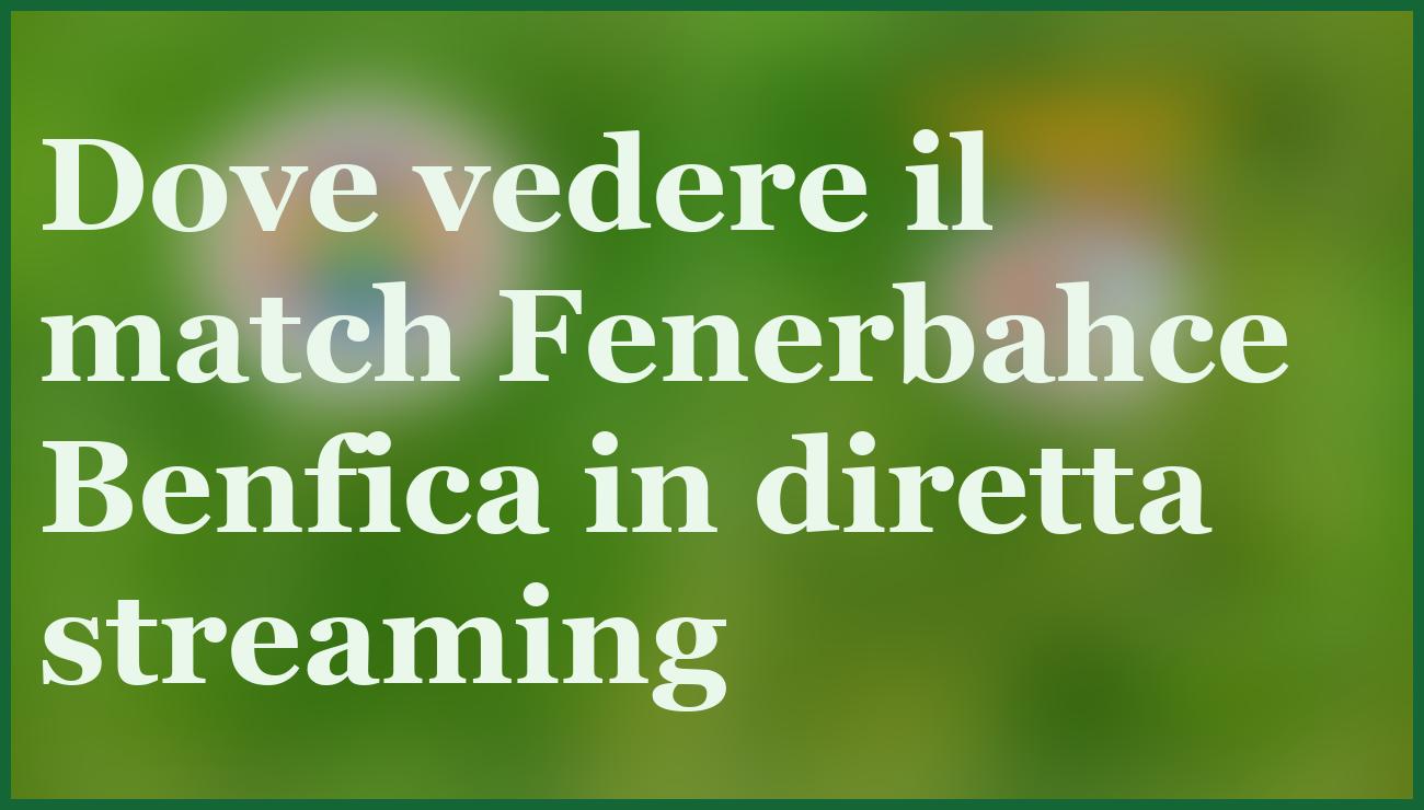  - dettaglio