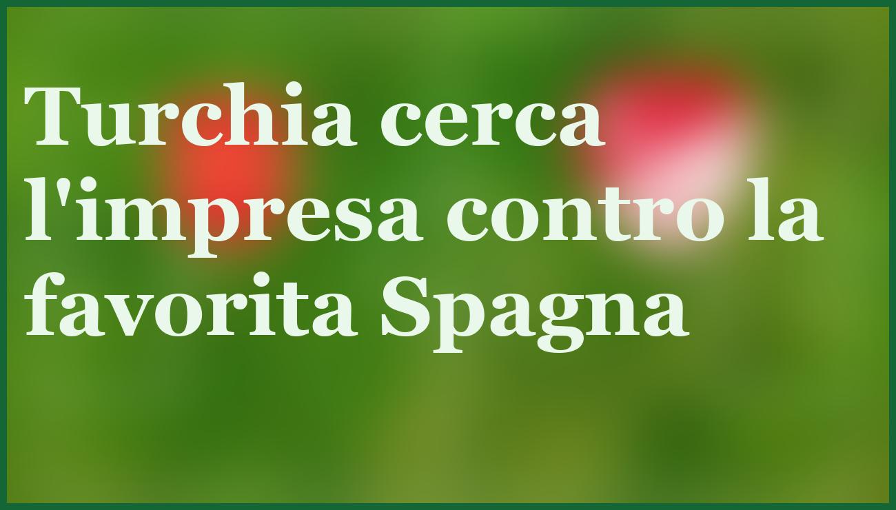 Pronostico Spagna-Turchia: Favorita la Roja per la qualificazione ai Mondiali 2026 5 - dettaglio
