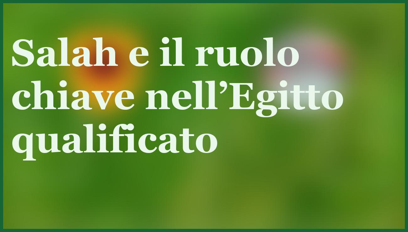  - dettaglio